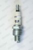 BRISK 1330 Spark Plug